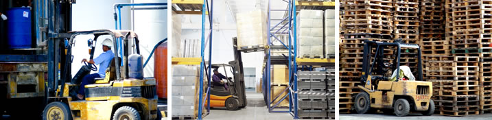 Dassa Forklifts